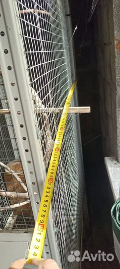 Вольер для птиц