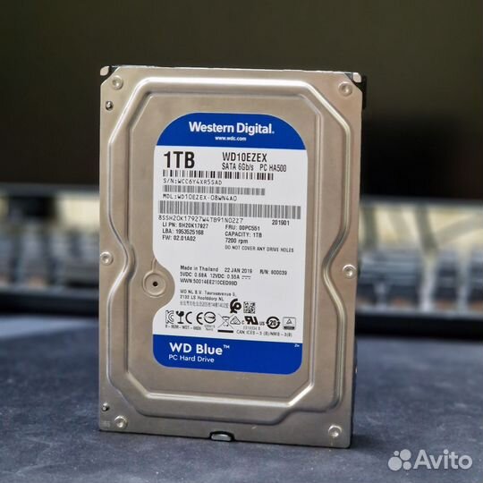 Hdd wd blue 1tb