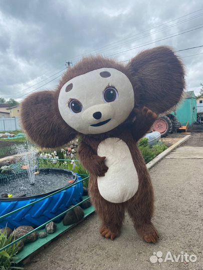 Ростовой Костюм