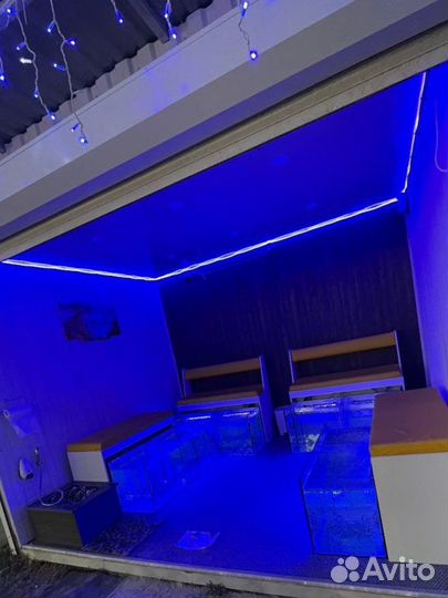 Оборудование для массажа рыбками гарра руфа