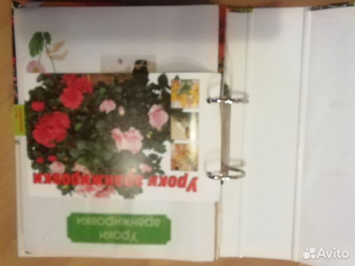 Буклет комнатные растения, 3 части