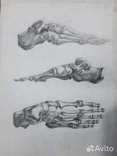 Репетитор по рисованию подготовка