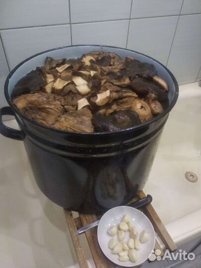 Корюшка лосось щука судак черн груздь