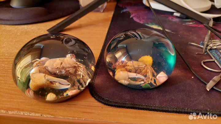 Краб и ракушки в шаре. Сувенир Море