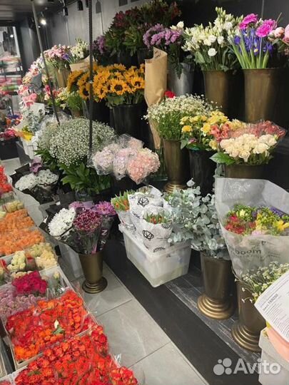 Роза Эквадор Опт