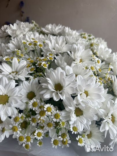 Букет Ромашек