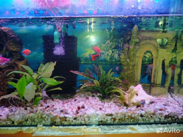 Аквариум полный комплект