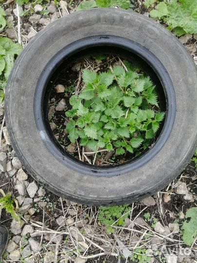 Резина б/у r14