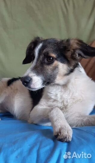 Маленькое чудо