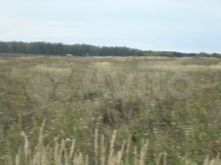 Участок 25,65 га (СНТ, ДНП)