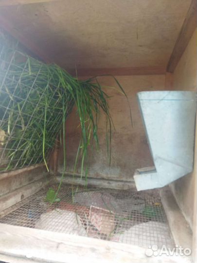 Клетки для кроликов бу