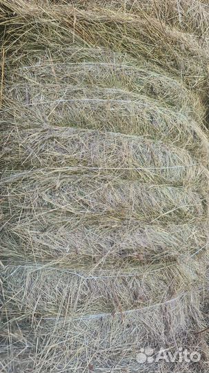 Сено в рулонах
