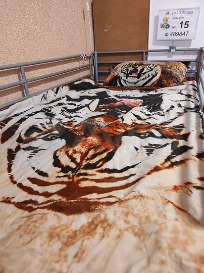 Комната 22 м² в 3-к., 2/5 эт.