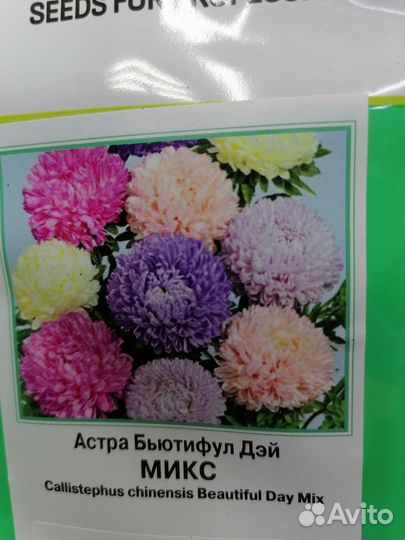 Рассада астры, бархатцы