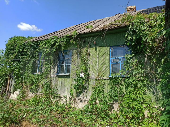 Дом 101 м² на участке 61 сот.