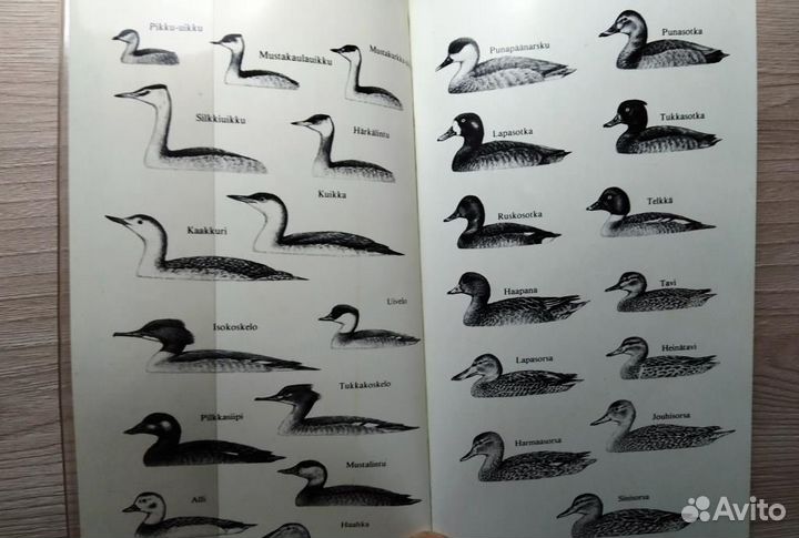 Определитель птиц Финляндия 1986 год