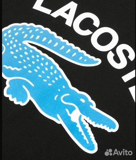 Футболки Lacoste