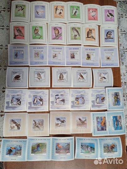 Чистые блоки фауна