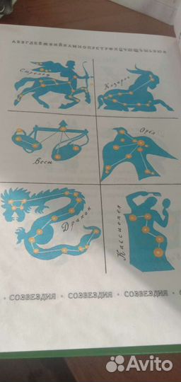 Энциклопедия для малышей чудо-всюду мир животных и