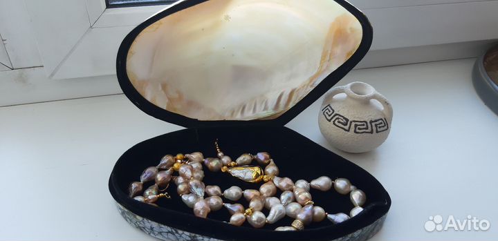 Ракушка-шкатулка большая