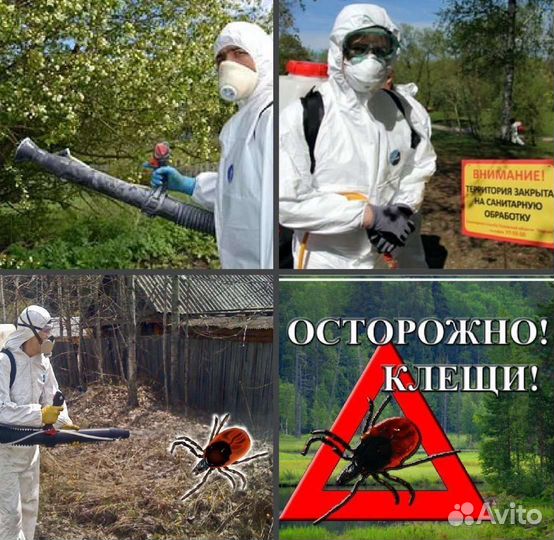 Уничтожение Тараканов Клопов Блох Клещей Плесени