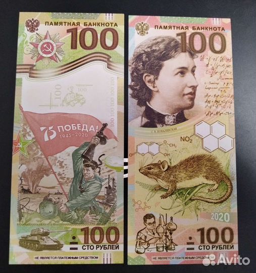 Набор сувенирных банкнот
