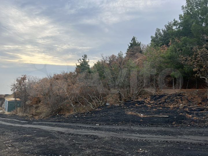 Участок 30 сот. (ИЖС)