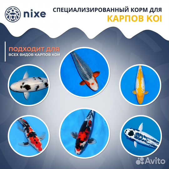 Профессиональный корм для карпов KOI nixe кои grаn