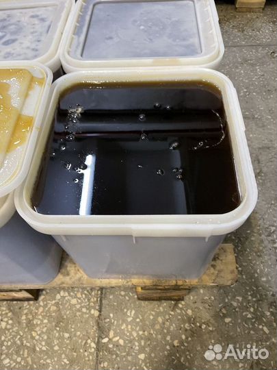 Свежая качка гречишного меда оптом