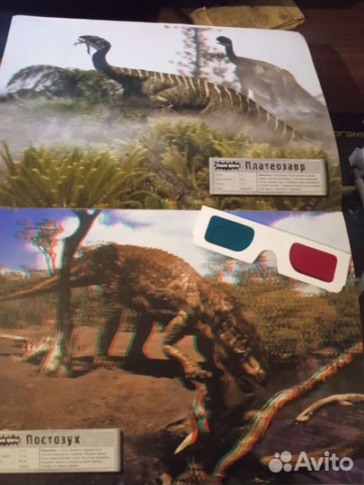 Альбом с очками