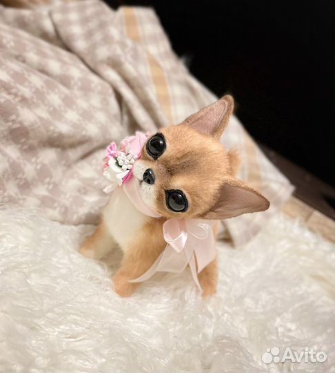 Щенок чихуахуа.Куки