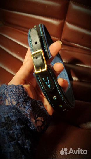 Ошейник для собак