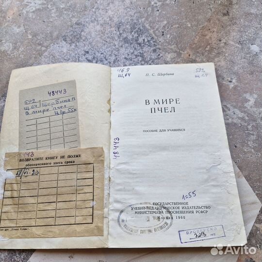 В мире пчел. Щербина. 1960 г