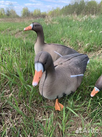 Чучела белолобого гуся North Way Антиблик