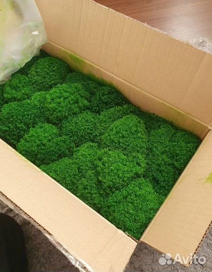 Стабилизированный мох экодизайн,панно