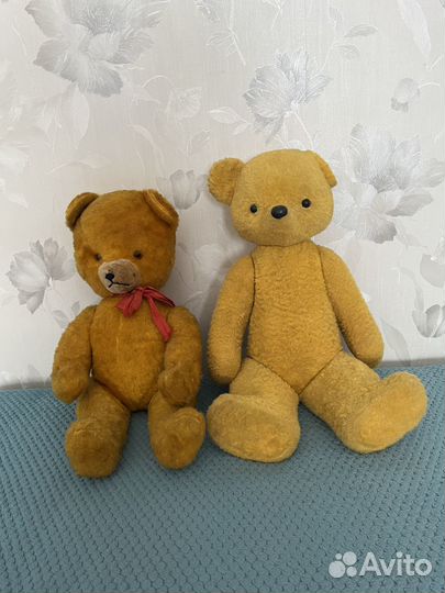 Медведи СССР