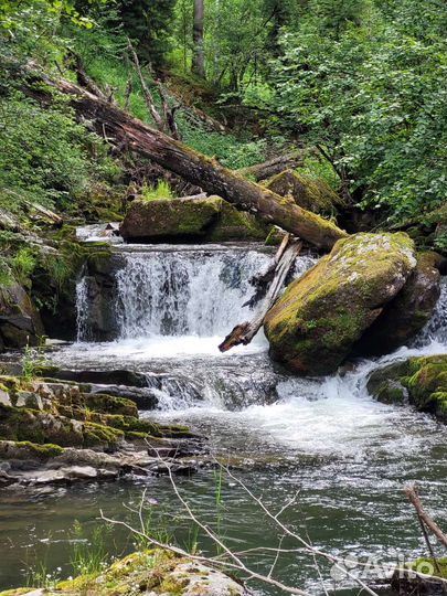 Рыбалка на Телецком