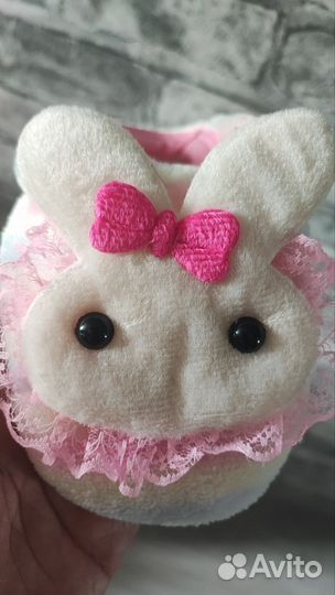 Одежда для животных