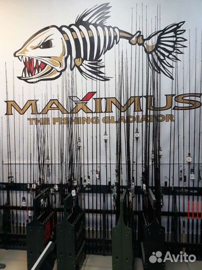 Спиннинги Maximus