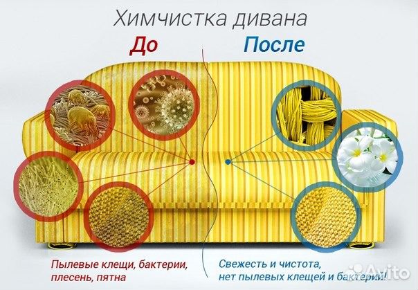 Химчистка дивана