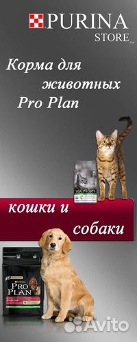 Корм для кошек и собак Про план