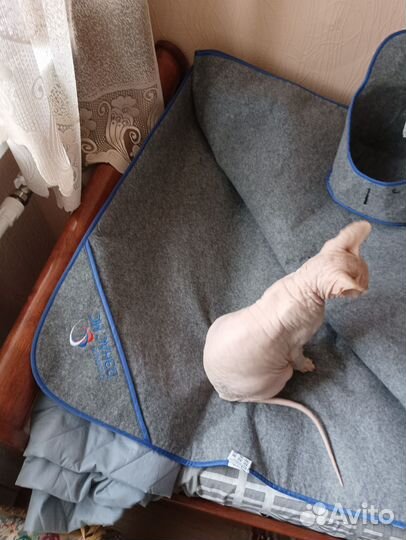 Лечебная одежда Дэнас одеяло шапка и сапожок