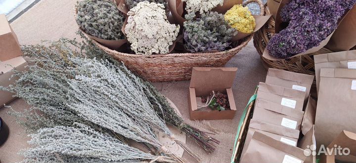 Растения Травы дикоросы