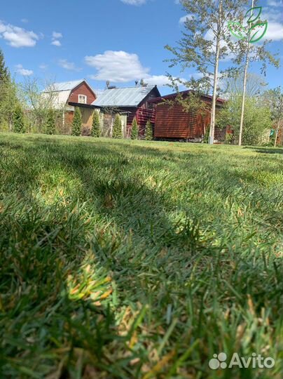 Рулонный газон