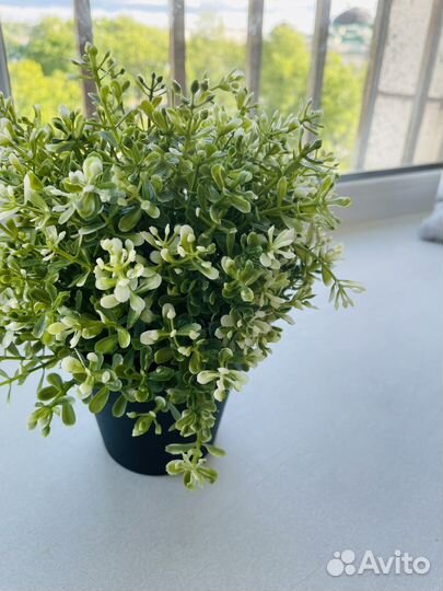 Искусственное растение IKEA фейка