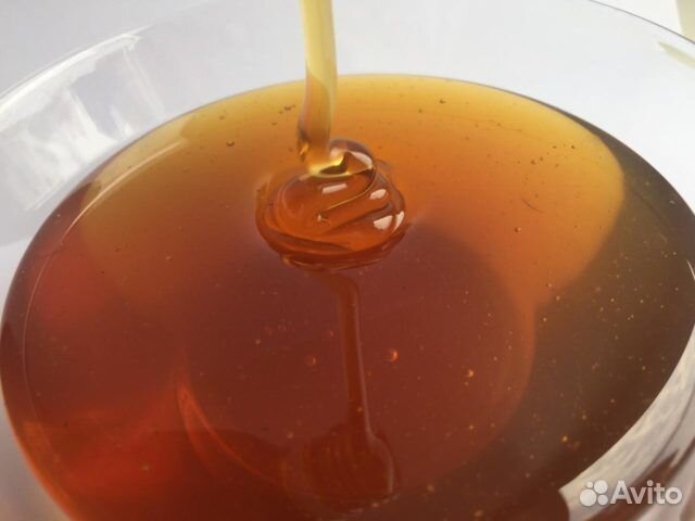 Мед оптом от производителя