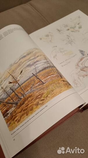 Книга Среди льдов и джунглей. Вадим Горбатов