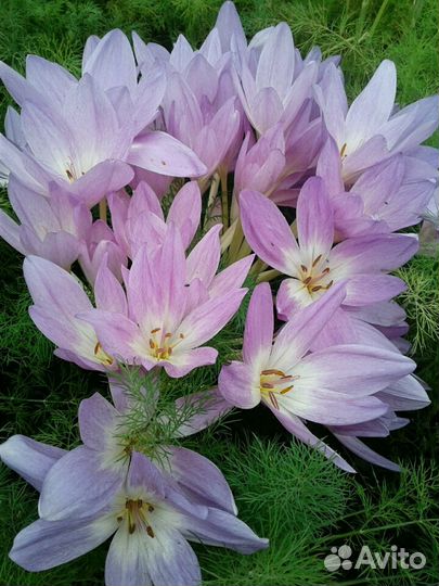 Уборка кватиры,дома