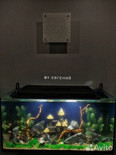 Чистка и обслуживание аквариумов