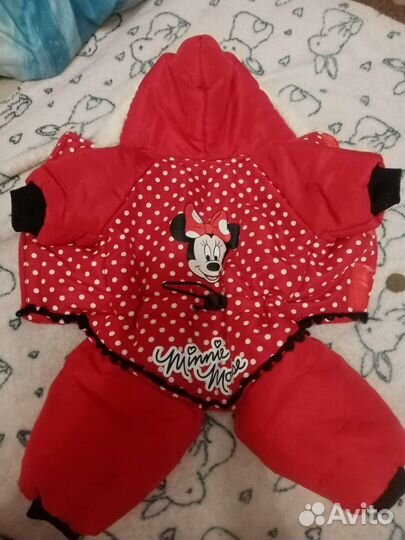 Одежда для маленьких собак